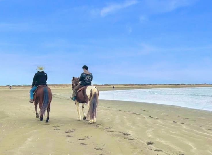 自然を体感できる